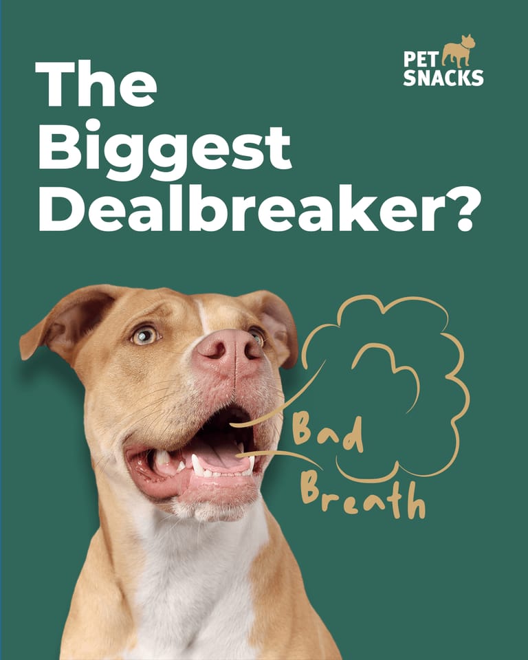 Designed to Clean as They Chew